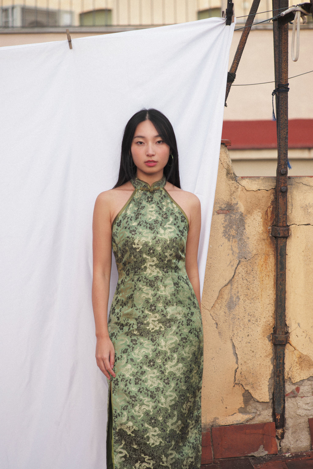 Dragon verdoyant Qipao